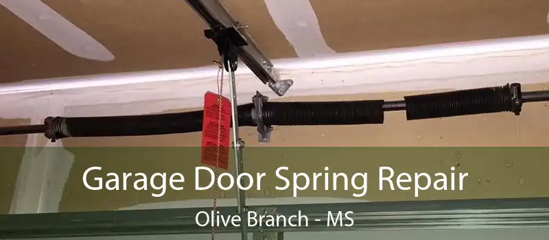  Garage Door Spring Repair Olive Branch - MS