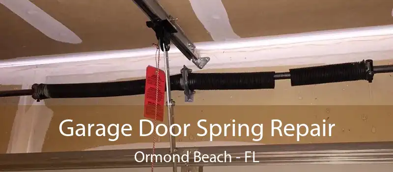  Garage Door Spring Repair Ormond Beach - FL