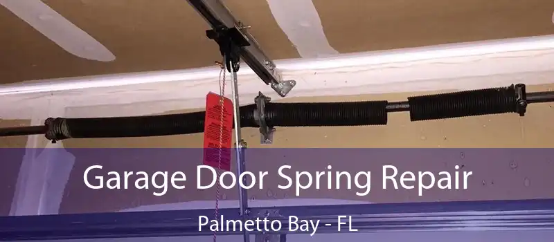  Garage Door Spring Repair Palmetto Bay - FL