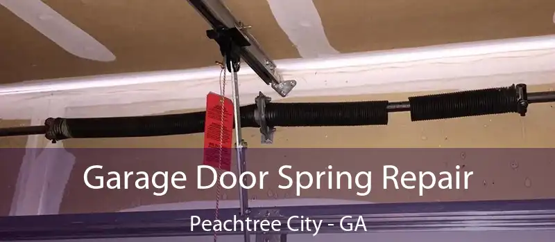  Garage Door Spring Repair Peachtree City - GA