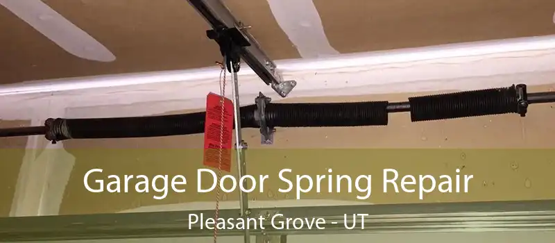  Garage Door Spring Repair Pleasant Grove - UT