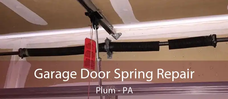  Garage Door Spring Repair Plum - PA