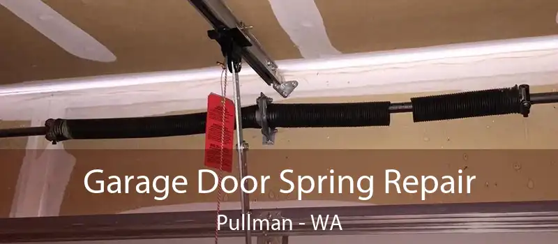  Garage Door Spring Repair Pullman - WA