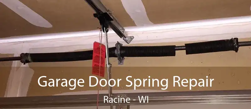  Garage Door Spring Repair Racine - WI