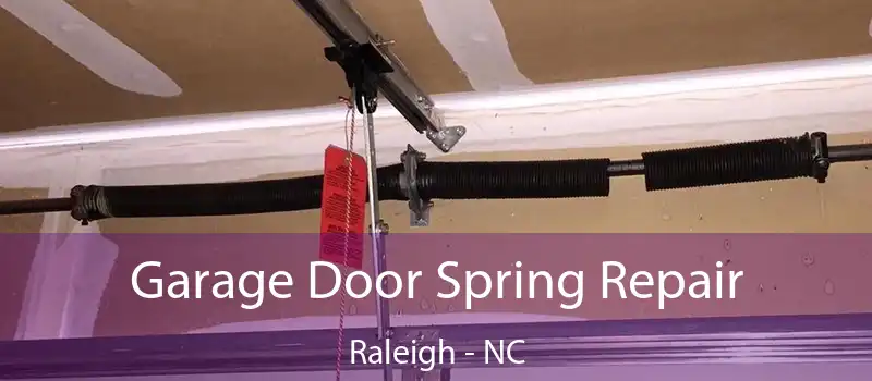  Garage Door Spring Repair Raleigh - NC