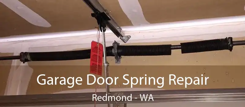  Garage Door Spring Repair Redmond - WA