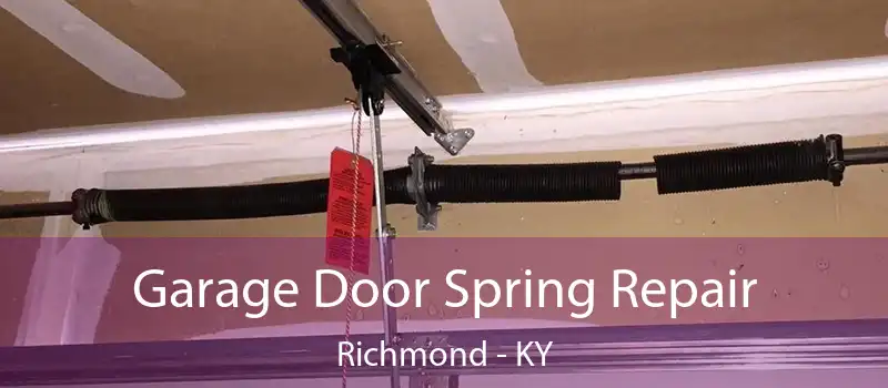  Garage Door Spring Repair Richmond - KY