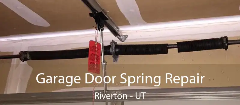  Garage Door Spring Repair Riverton - UT