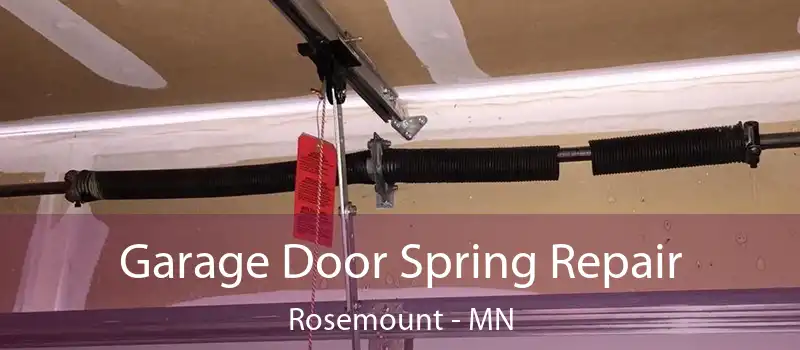  Garage Door Spring Repair Rosemount - MN