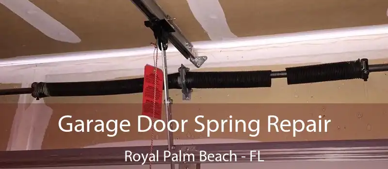  Garage Door Spring Repair Royal Palm Beach - FL