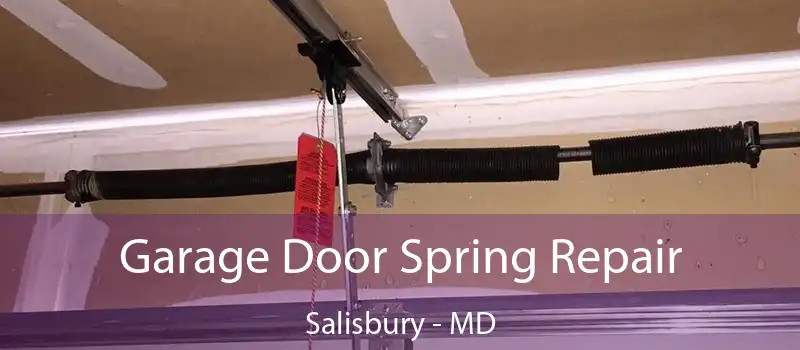 Garage Door Spring Repair Salisbury - MD
