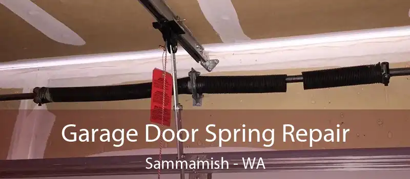  Garage Door Spring Repair Sammamish - WA