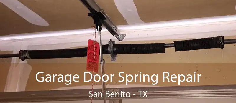  Garage Door Spring Repair San Benito - TX