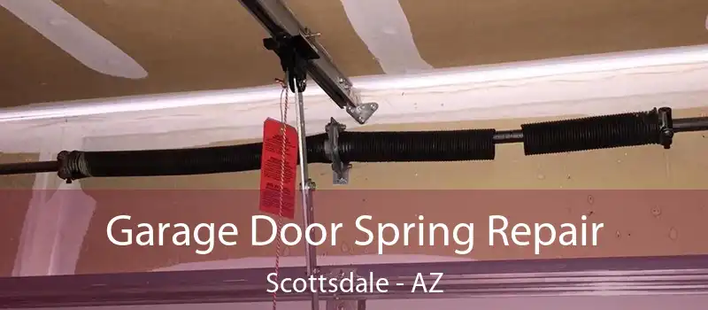 Garage Door Spring Repair Scottsdale - AZ