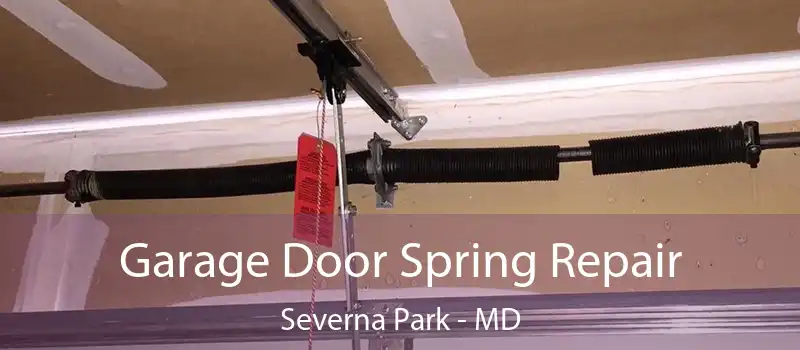  Garage Door Spring Repair Severna Park - MD