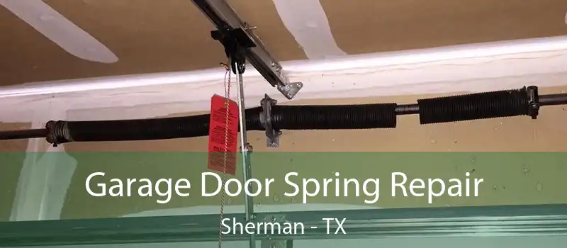  Garage Door Spring Repair Sherman - TX