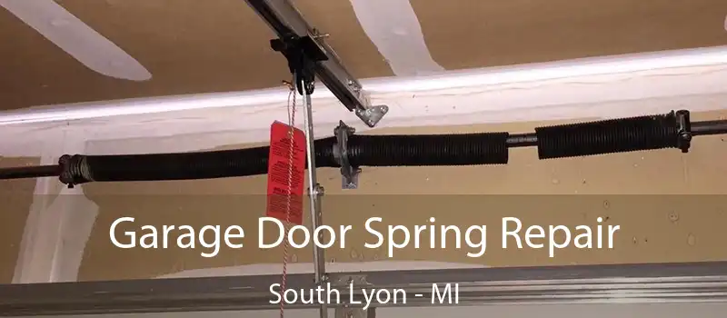  Garage Door Spring Repair South Lyon - MI