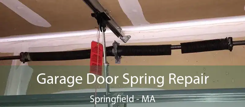  Garage Door Spring Repair Springfield - MA