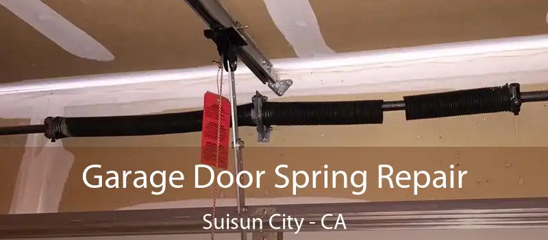 Garage Door Spring Repair Suisun City - CA