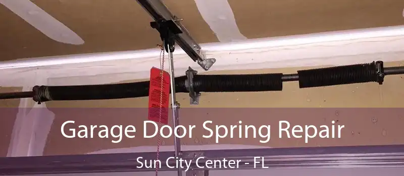  Garage Door Spring Repair Sun City Center - FL