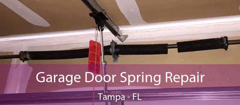  Garage Door Spring Repair Tampa - FL