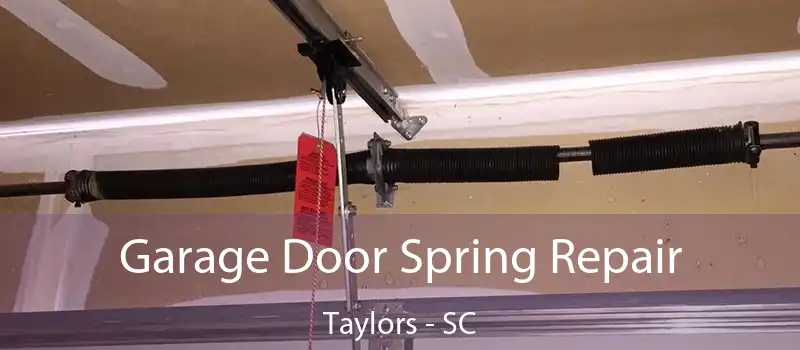  Garage Door Spring Repair Taylors - SC