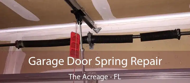 Garage Door Spring Repair The Acreage - FL