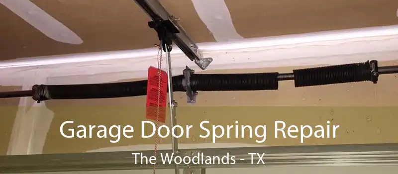  Garage Door Spring Repair The Woodlands - TX