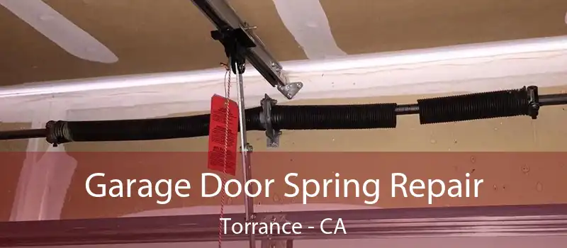  Garage Door Spring Repair Torrance - CA
