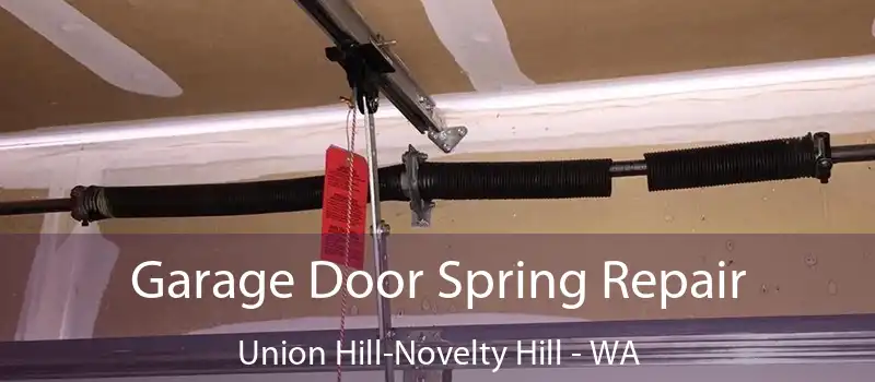 Garage Door Spring Repair Union Hill-Novelty Hill - WA