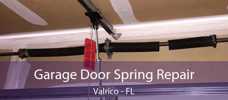  Garage Door Spring Repair Valrico - FL