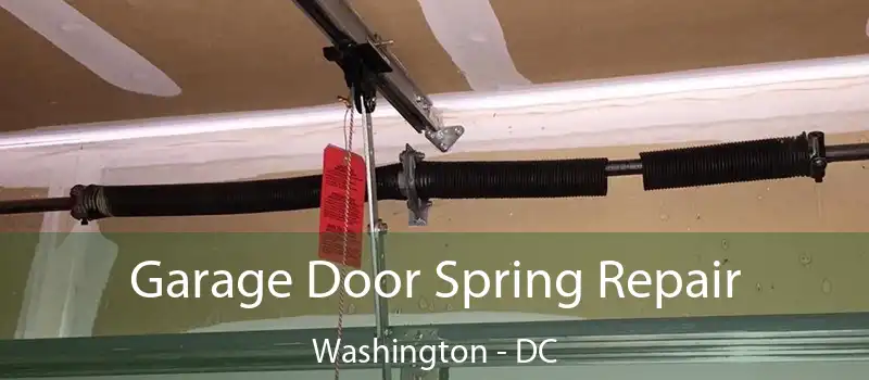  Garage Door Spring Repair Washington - DC