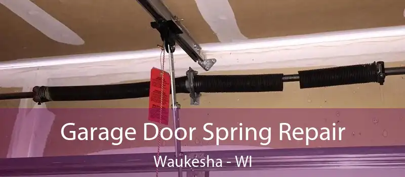  Garage Door Spring Repair Waukesha - WI