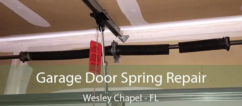  Garage Door Spring Repair Wesley Chapel - FL