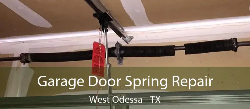  Garage Door Spring Repair West Odessa - TX