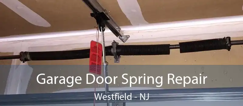 Garage Door Spring Repair Westfield - NJ