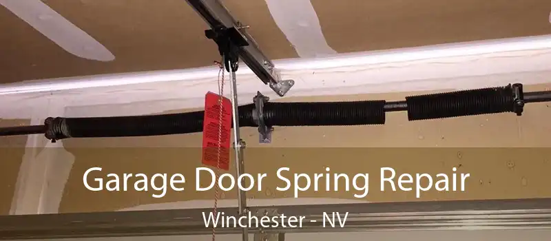  Garage Door Spring Repair Winchester - NV