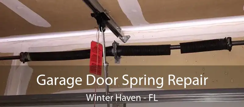  Garage Door Spring Repair Winter Haven - FL