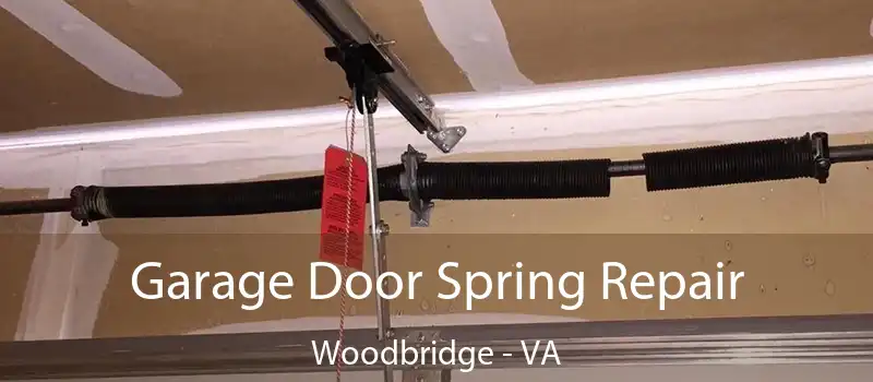  Garage Door Spring Repair Woodbridge - VA