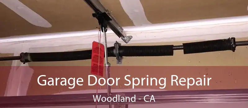  Garage Door Spring Repair Woodland - CA