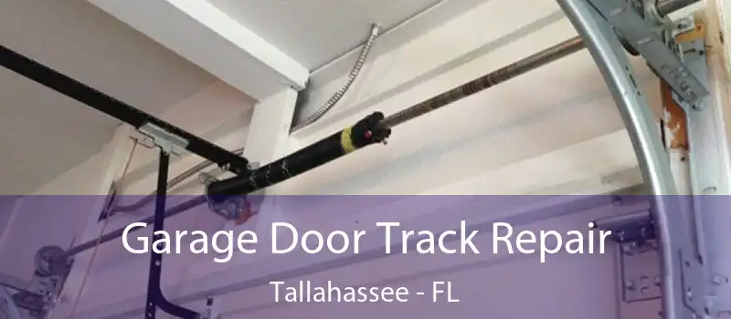 Garage Door Track Repair Tallahassee - FL