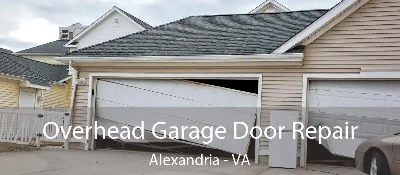 Overhead Garage Door Repair Alexandria - VA