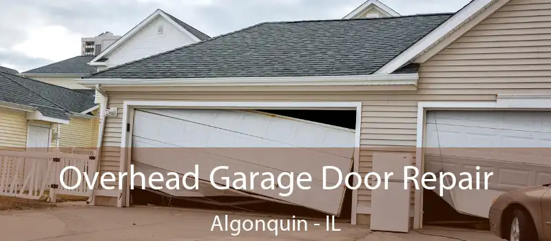  Overhead Garage Door Repair Algonquin - IL