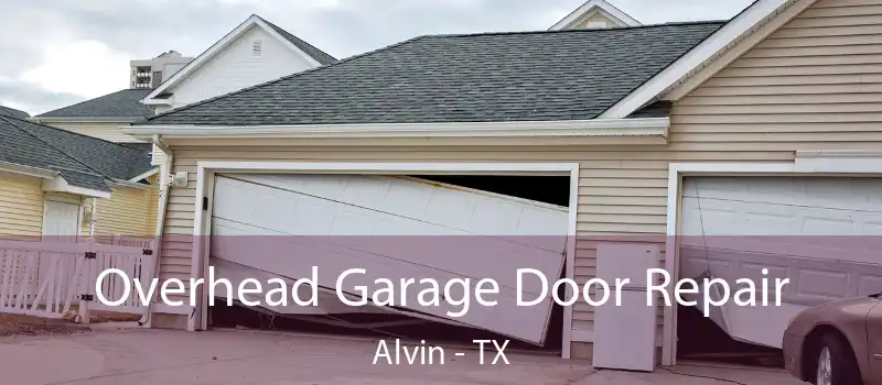  Overhead Garage Door Repair Alvin - TX