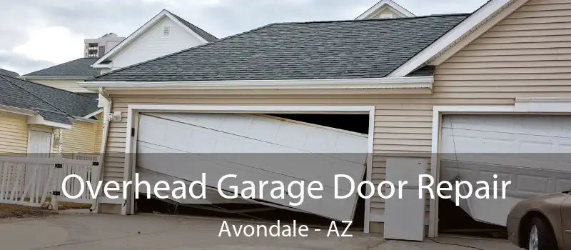  Overhead Garage Door Repair Avondale - AZ