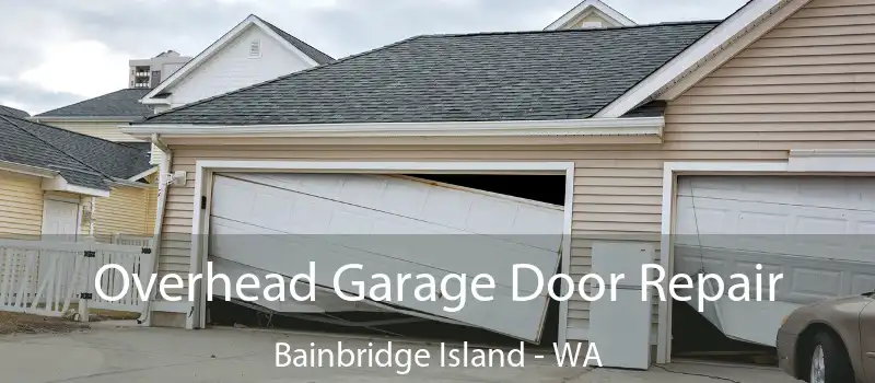 Overhead Garage Door Repair Bainbridge Island - WA