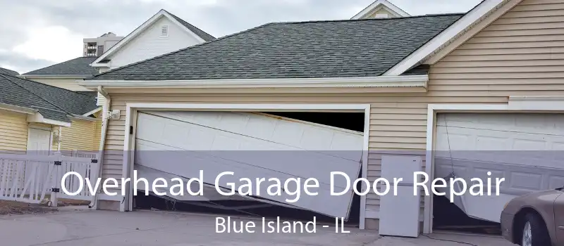  Overhead Garage Door Repair Blue Island - IL