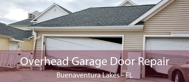 Overhead Garage Door Repair Buenaventura Lakes - FL
