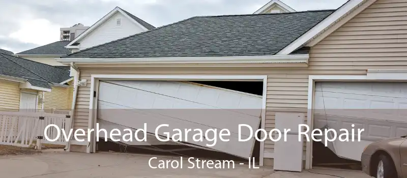  Overhead Garage Door Repair Carol Stream - IL