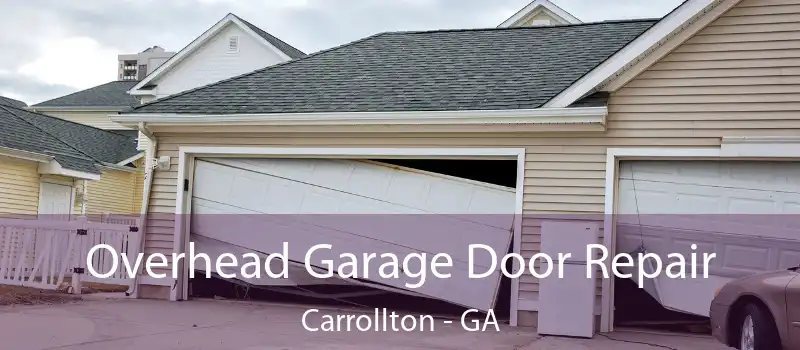  Overhead Garage Door Repair Carrollton - GA